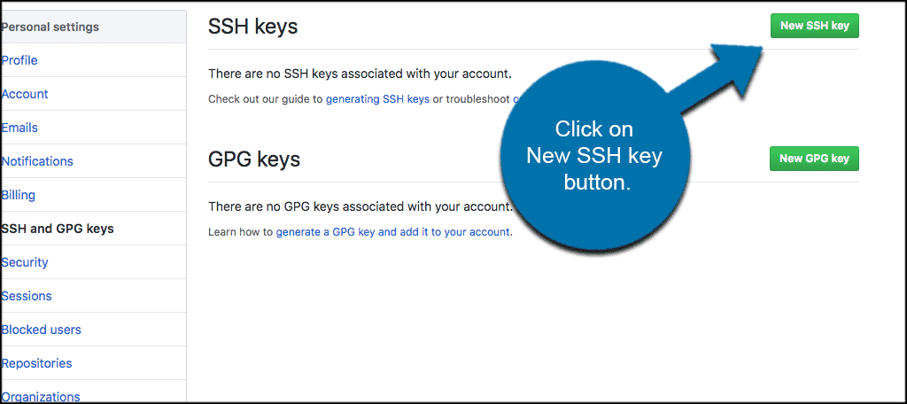 Click on the new ssh key button