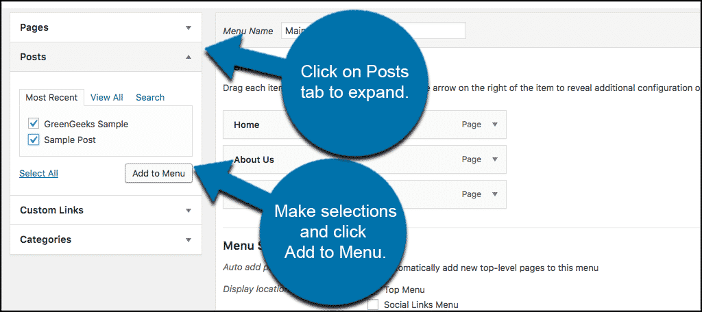 Click on posts box to expand and then add custom post types to wordpress menu