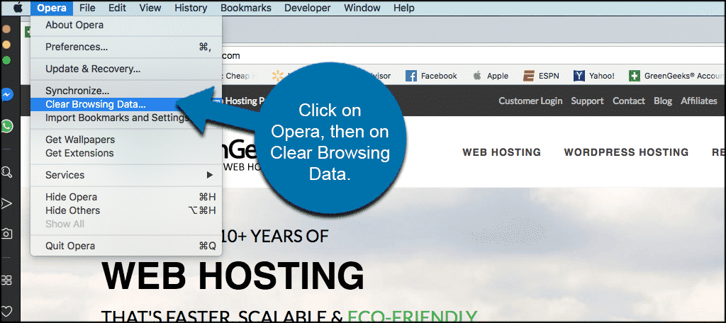 Hundimiento italiano atómico How To Clear Your Opera Browser Cache on Mac - GreenGeeks