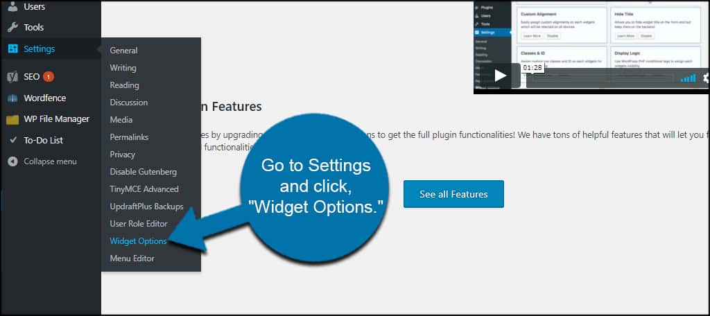 Widget Options Settings