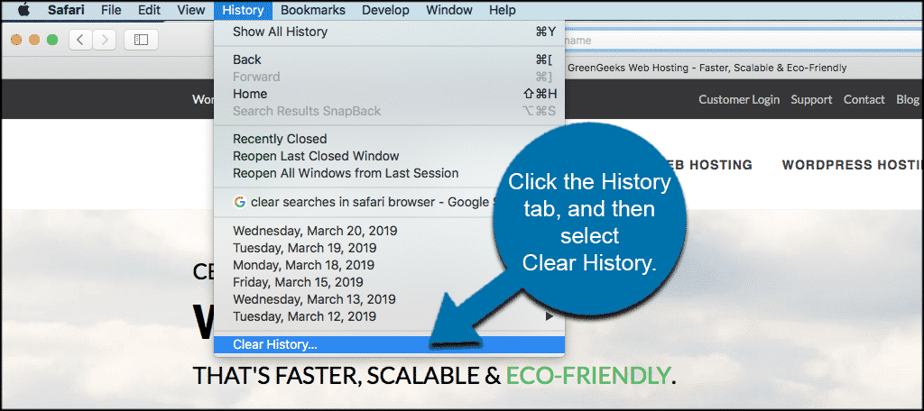 see browser history on safari