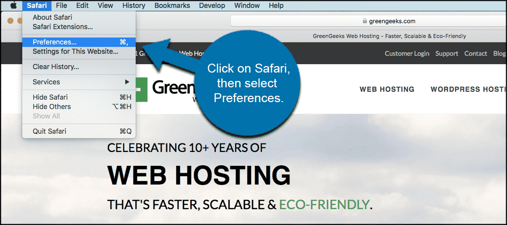 Click on the safari tab then select preferences