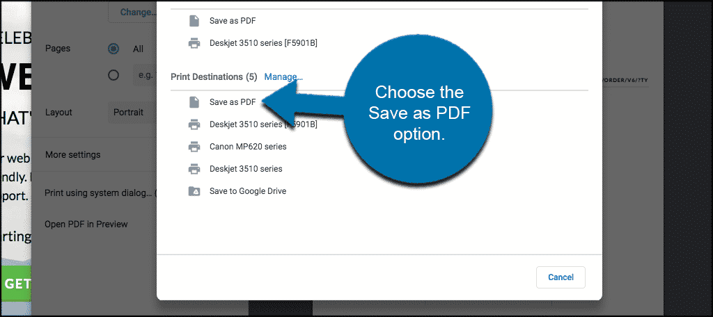 Choose the save as pdf option