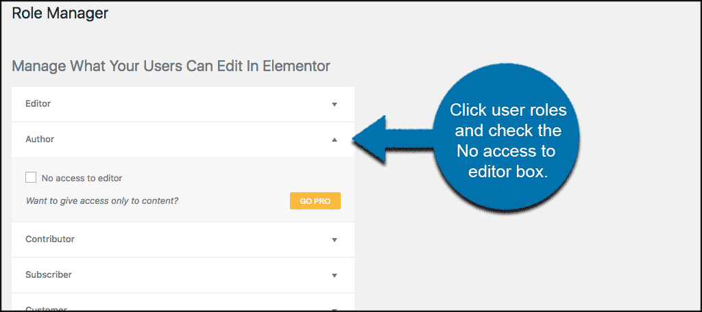 Elementor role manager page