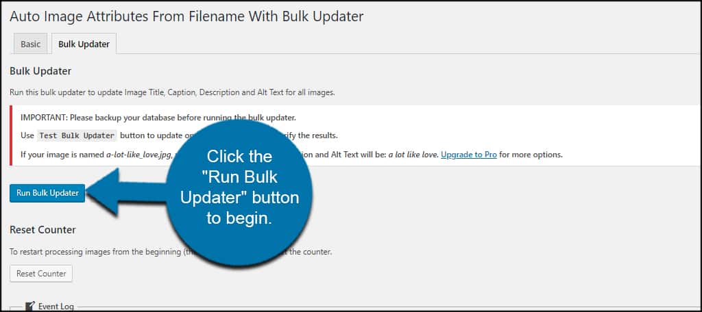 Run Bulk Updater