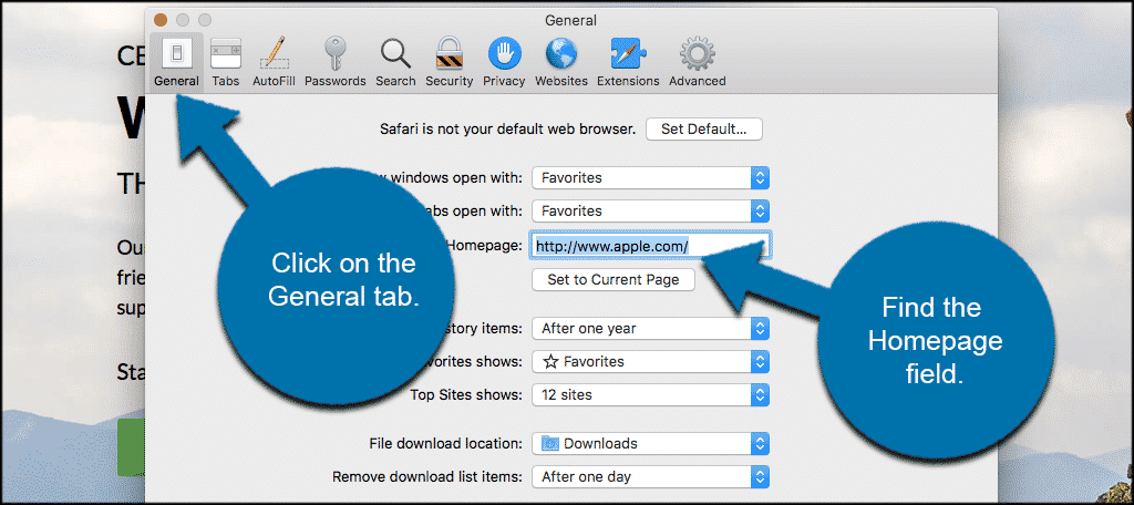 How To Make Google Your Homepage Using Safari on a Mac - GreenGeeks