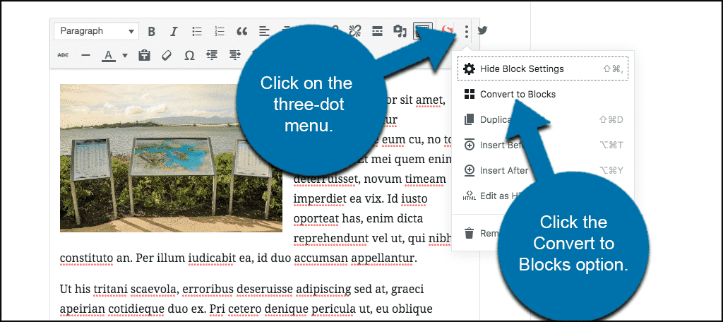 Click on the three dot menu and select convert to blocks in Gutenberg block editor