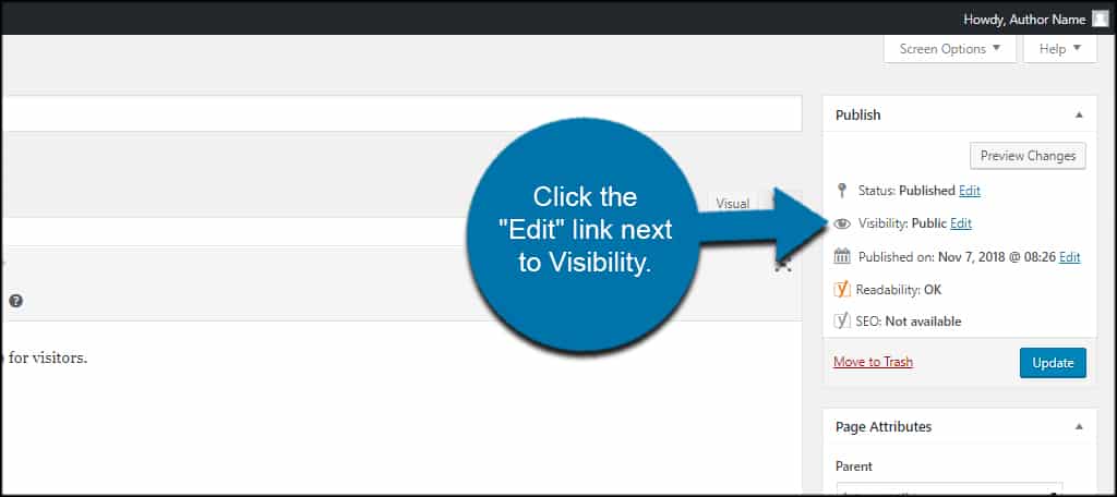 WordPress Visibility