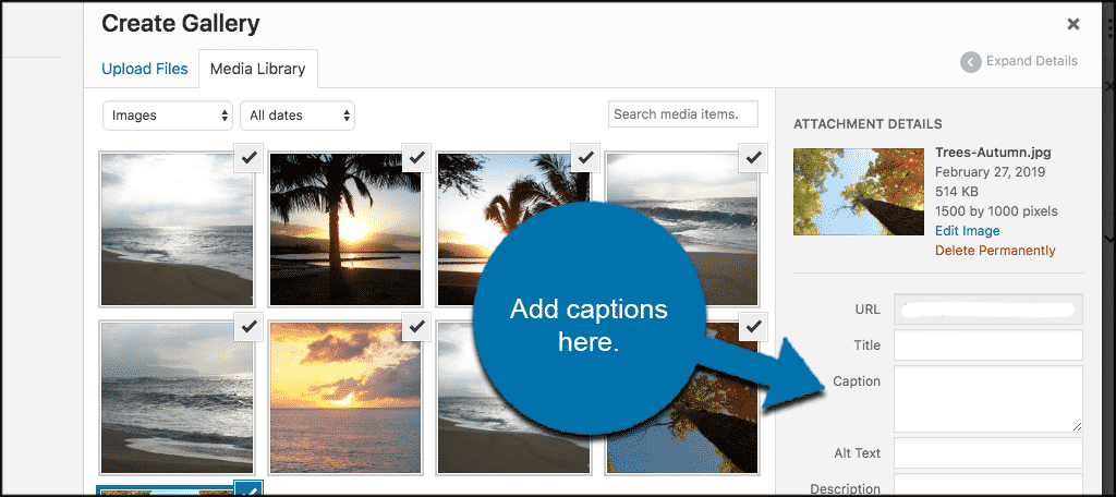 Add captions in caption box located on the right