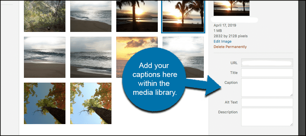 Add captions within the wordpress media library