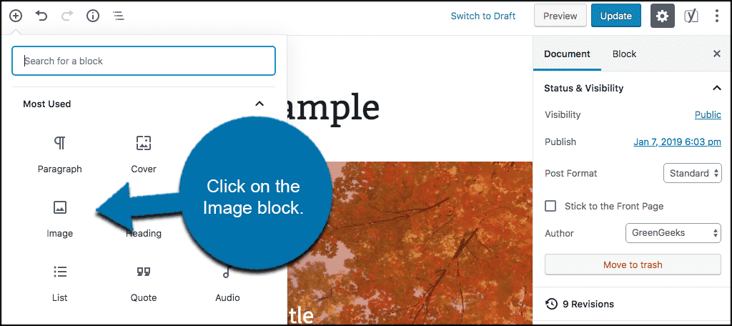 Click on the image block to add an image