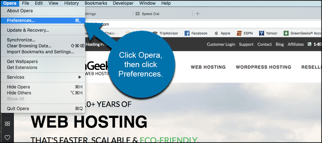 Click menu then settings in opera browser