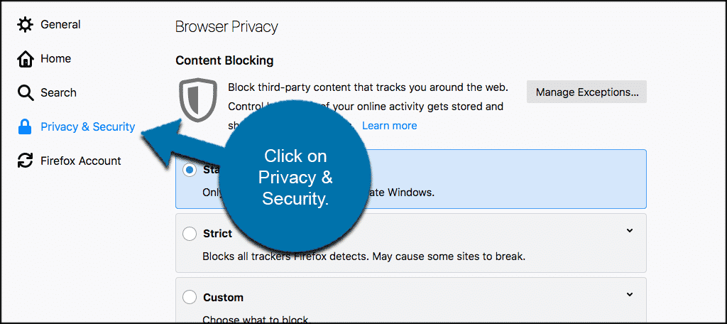 Click on the privacy and security tab