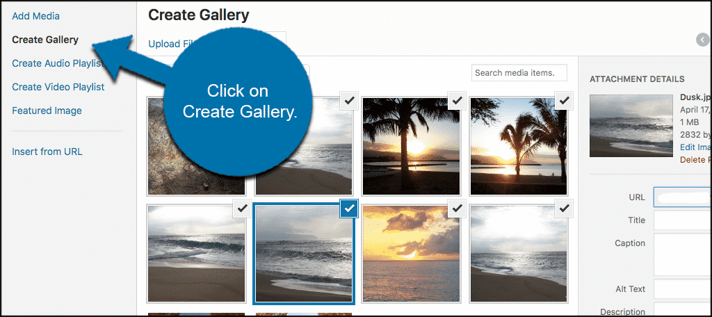 Click on the create gallery button