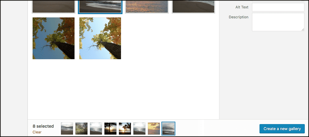 Click on the create new gallery button on the bottom right