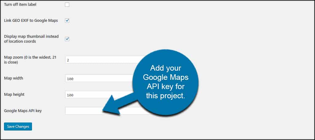 Google Maps API Key