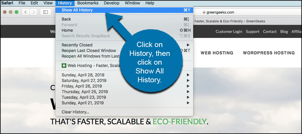 safari not recording history