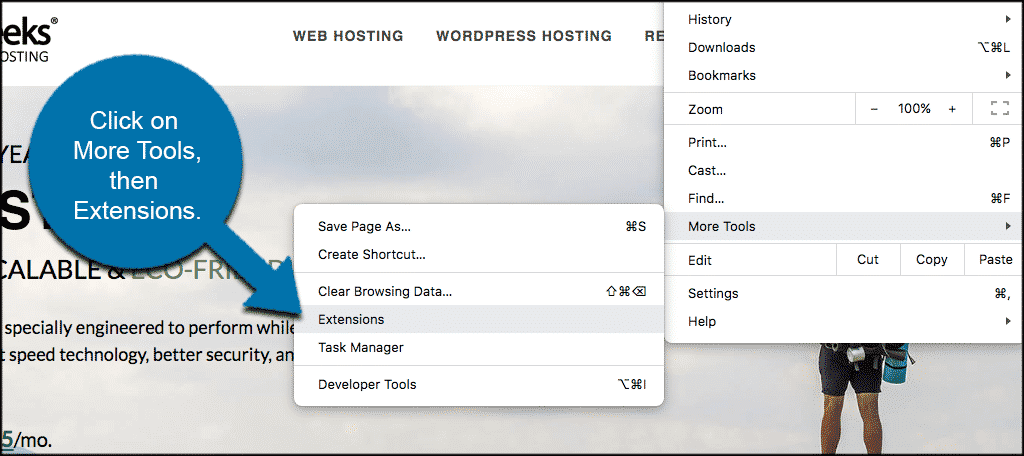 Click on more tools then extensions