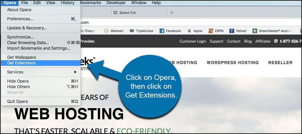 Click on opera then get extensions