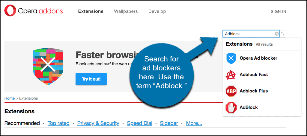 Search using the term adblocker to get extensions in opera