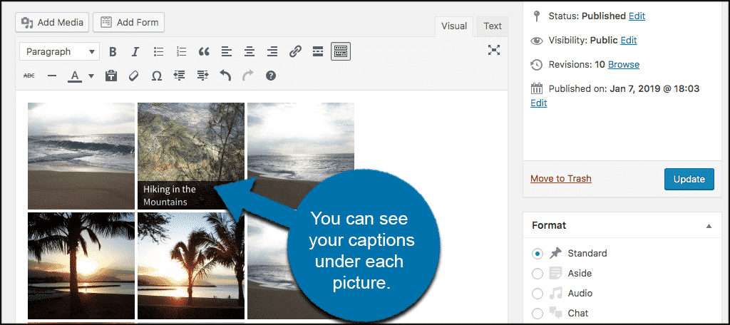 View captions gallery inside your wordpress post