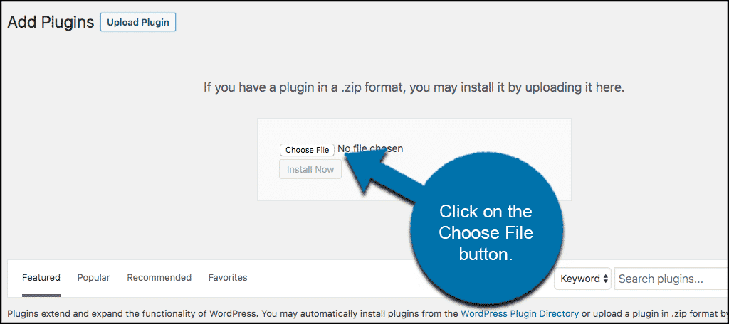 Click on the choose file button