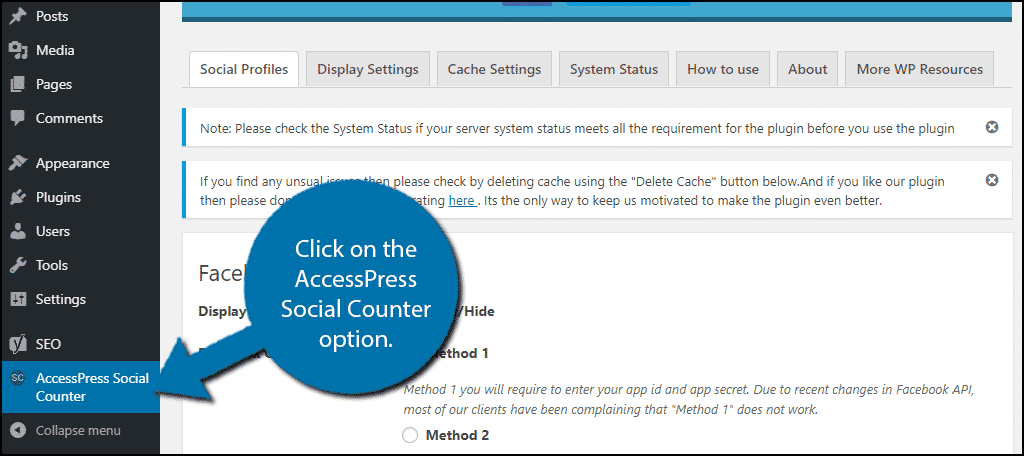 click on the AccessPress Social Counter option