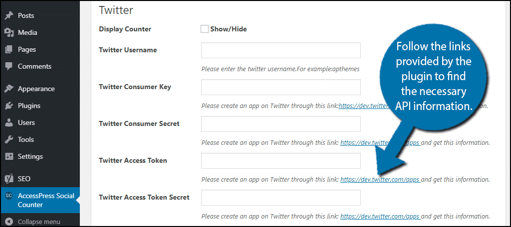 API Key