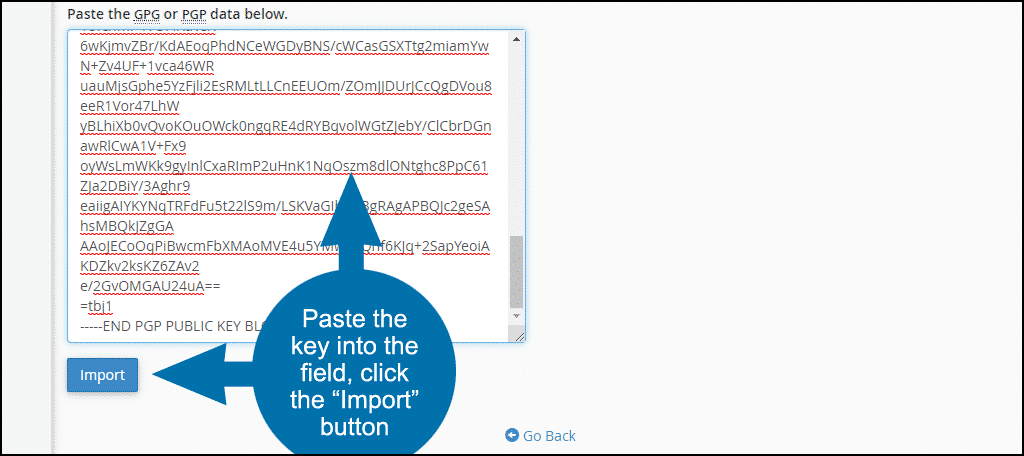 paste the key into the field