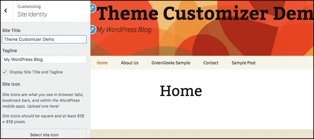 Theme customizer site identity panel