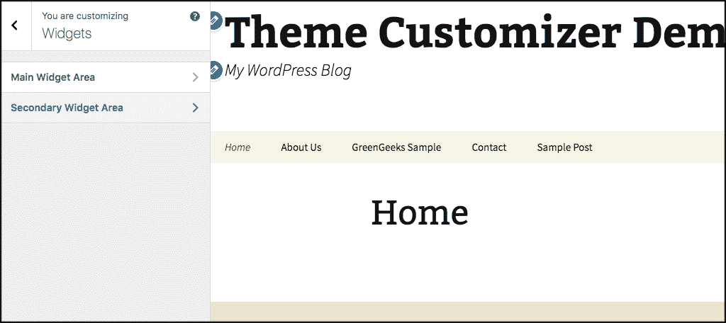 Wordpress theme customizer widget panel