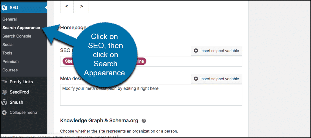 Click seo then search appearance