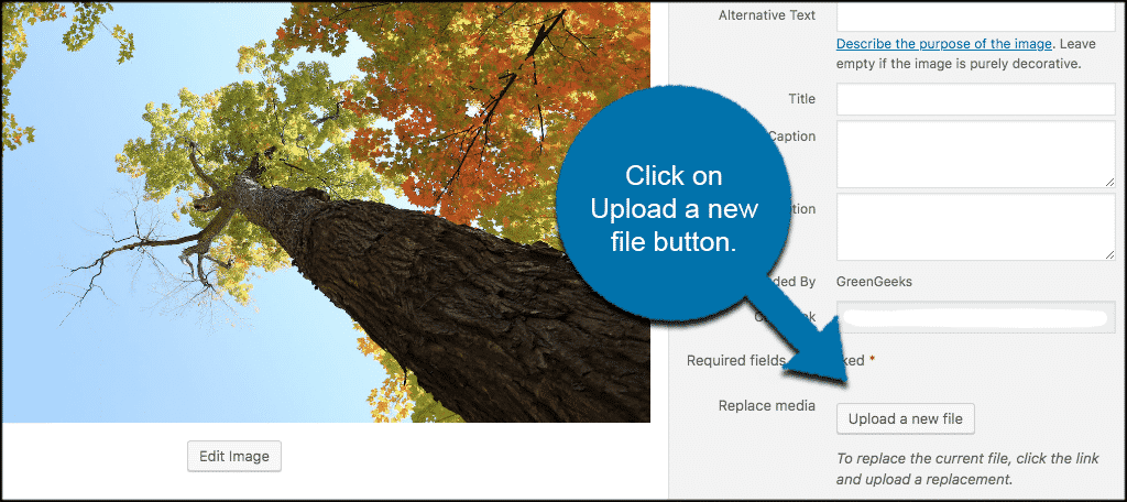 Click upload a new file button