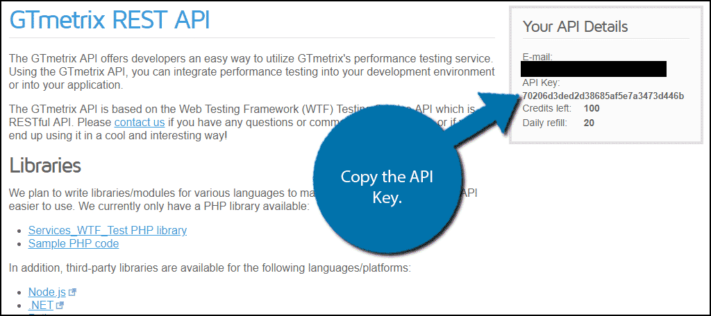 Copy API Key