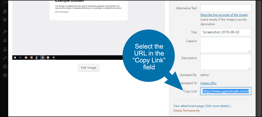 select the URL in the "copy link" field