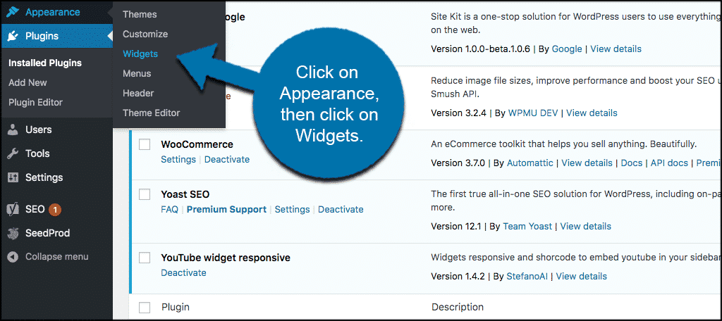 Click on appearance then widgets