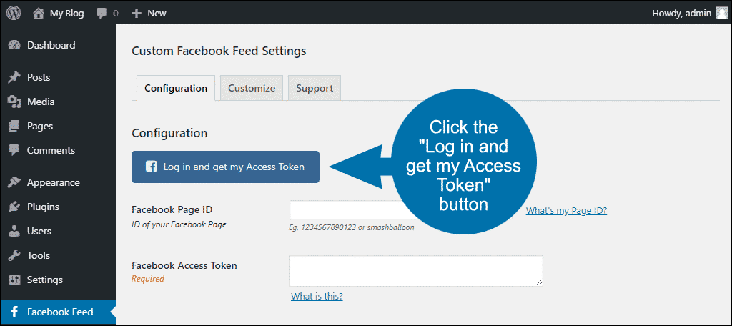 click the "Log in and get my Access Token" button