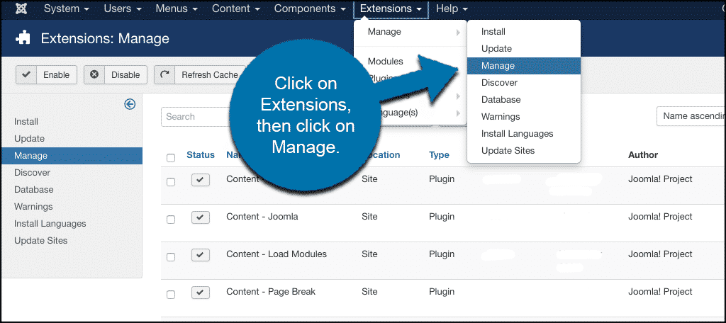 Click extensions then manage