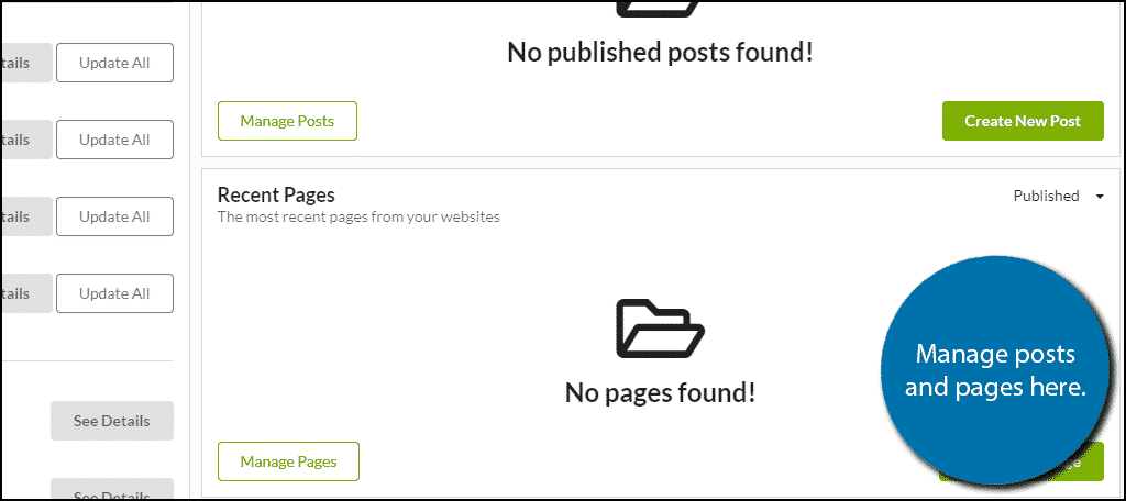 Posts and Pages