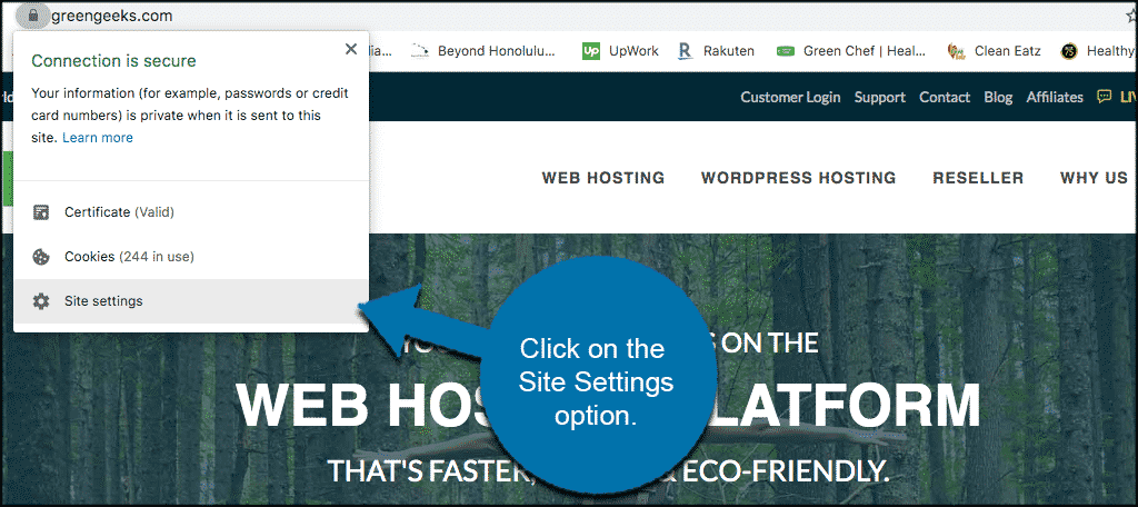 Click site settings in the dropdown