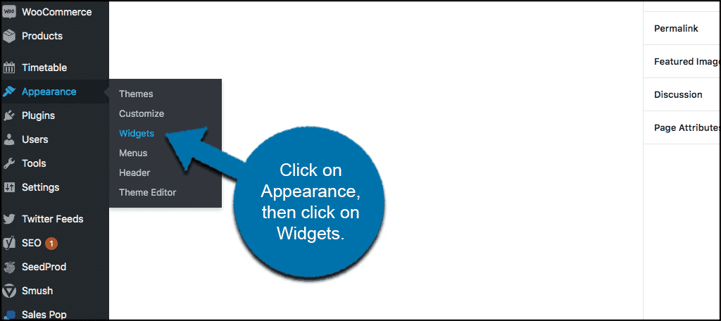 Click on appearance then widgets