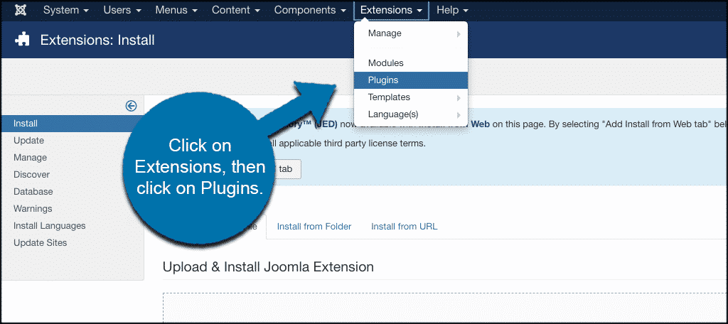 Click on extensions then plugins