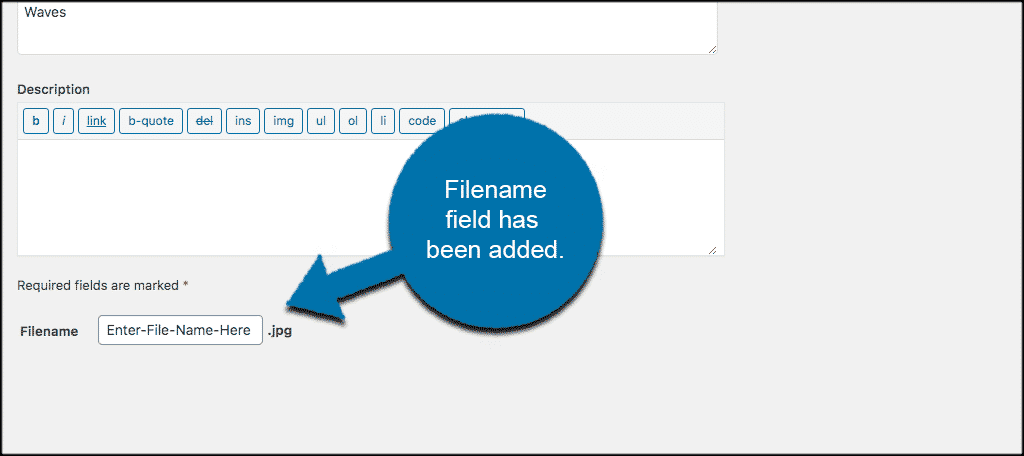 Filename field added to rename an image