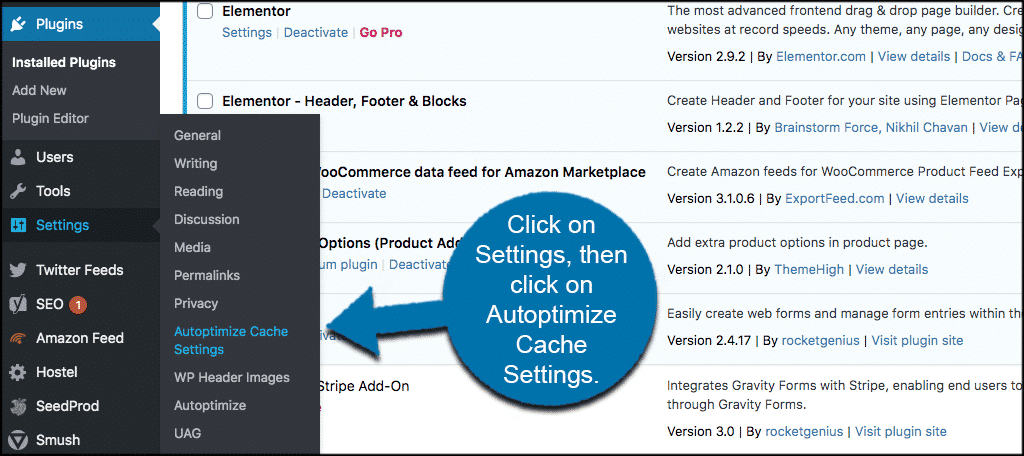 Click Settings Autoptimize Cache Settings