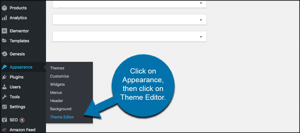 Appearance then theme editor