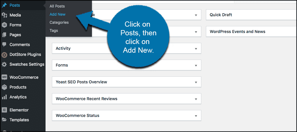 Click on posts then click on add new