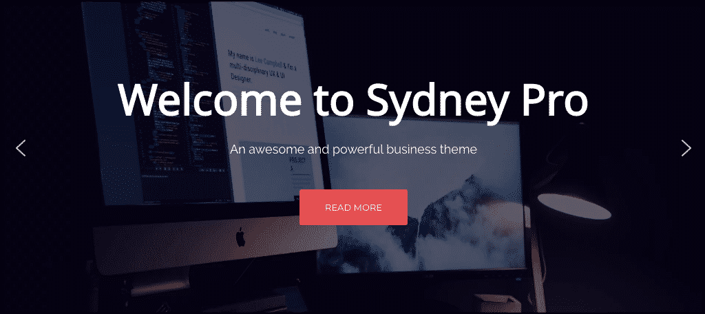 Sydney Pro WordPress theme