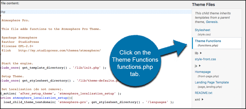 Click on the theme functions functions php tab