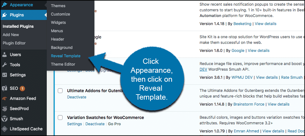 Click appearance then reveal template