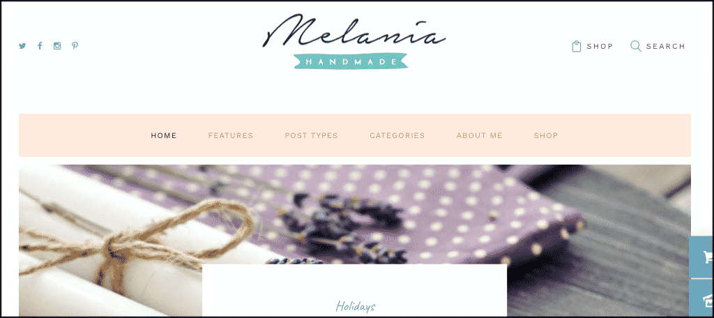 Melania mom blog theme